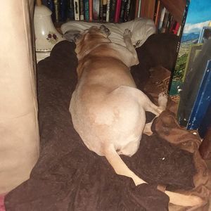 Meet your Posher, Lynne